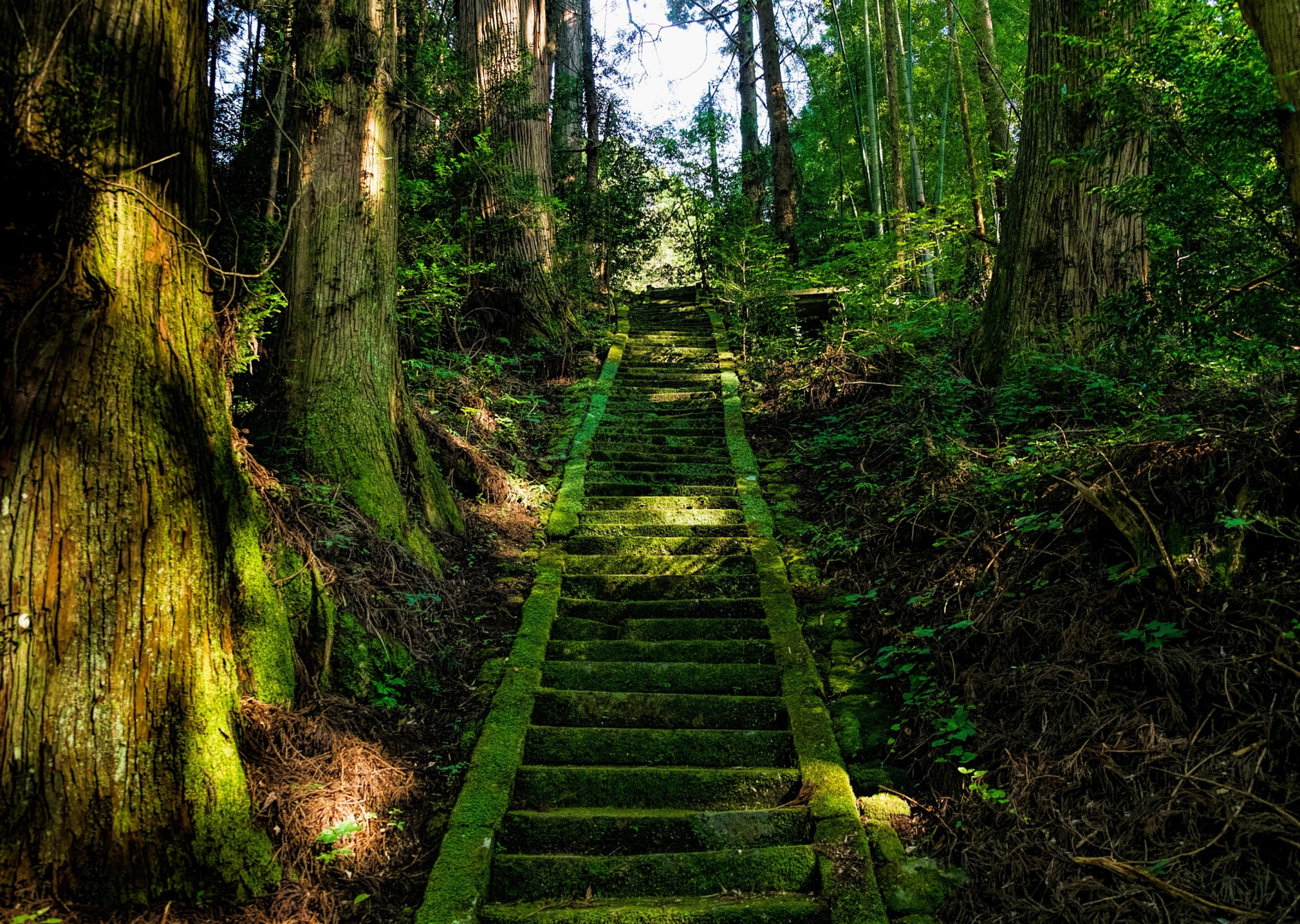 神社の写真